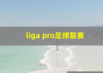 liga pro足球联赛